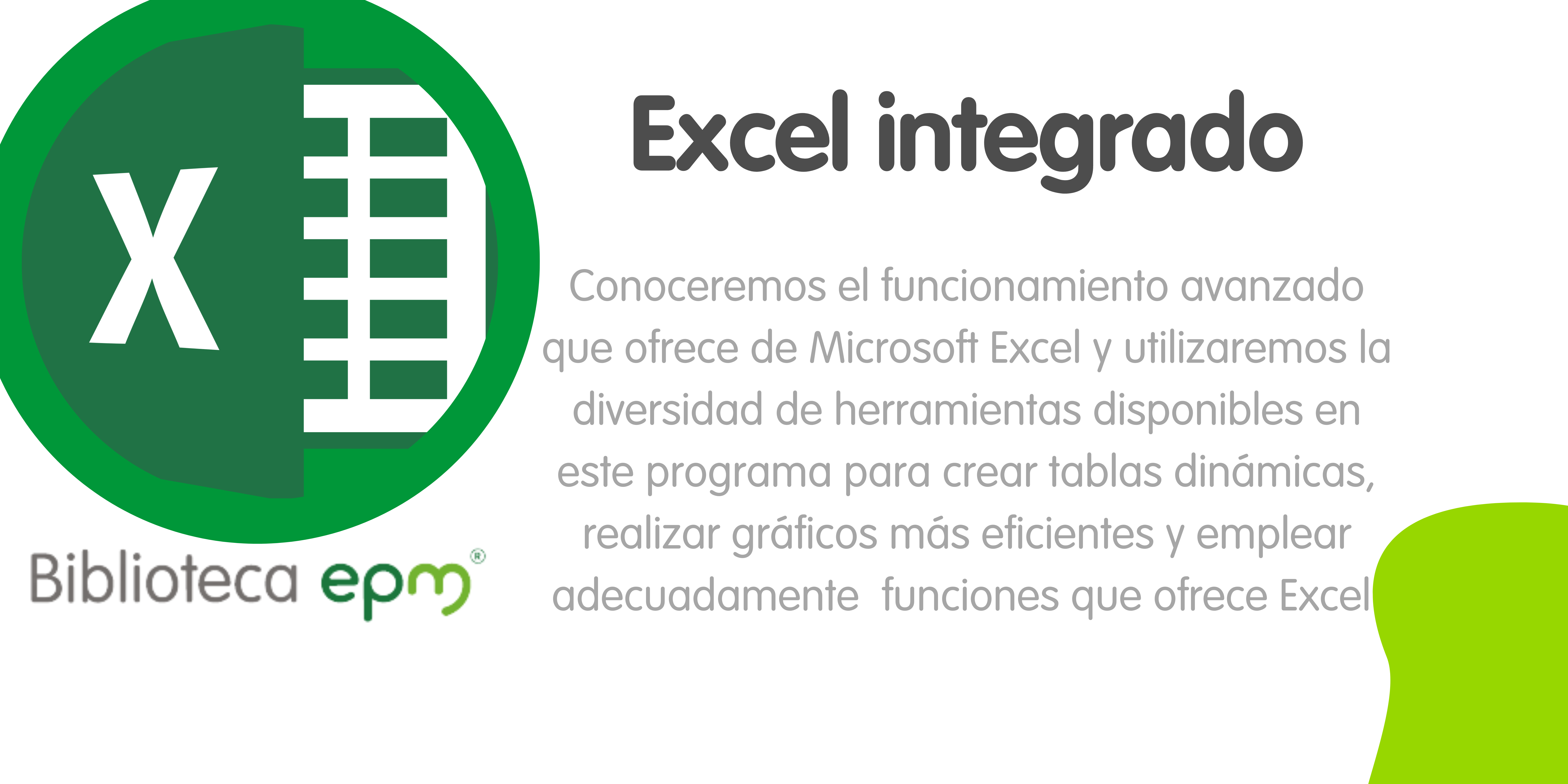 Excel Integrado EPM